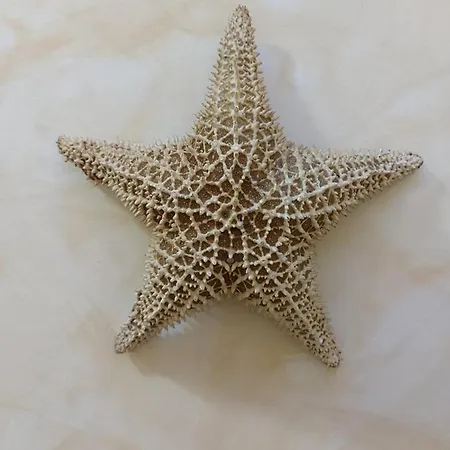 Estrella Sauna Jacuzzi Apartamento *