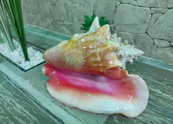 Estrella Sauna Jacuzzi * Alhama de Aragón