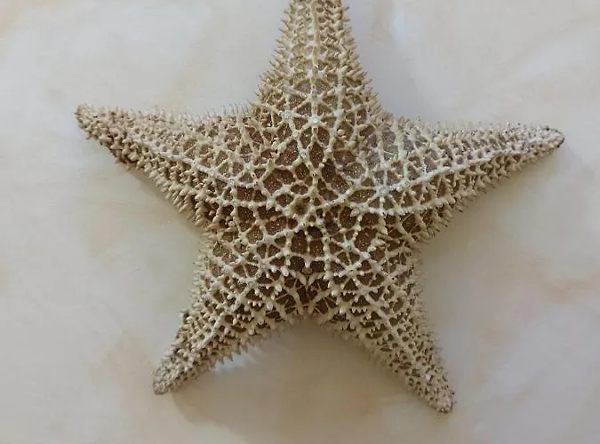 Estrella Sauna Jacuzzi Lägenhet *